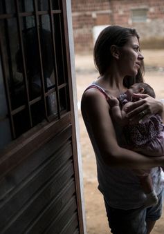 Brazil "căng mình" đối phó virus Zika gây teo não ở trẻ nhỏ