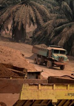 Malaysia kéo dài lệnh cấm khai thác bauxite