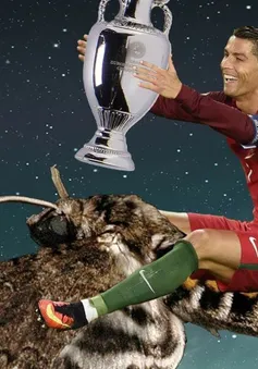 Chú bướm đêm đậu trên mặt Ronaldo gây náo loạn mạng xã hội