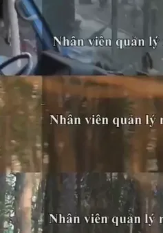 Đình chỉ 2 cán bộ quản lý bảo vệ rừng Đăk Lăk nhận tiền mãi lộ