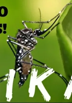 Bộ Y tế khuyến cáo không chủ quan với bệnh do virus Zika lây truyền