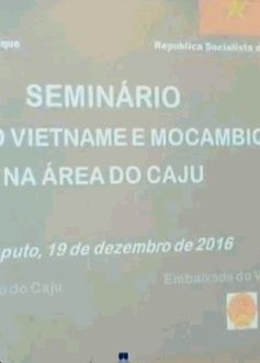 Việt Nam - Mozambique hợp tác phát triển cây điều