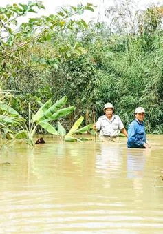 Lâm Đồng: Đình chỉ thi công thủy điện Đại Bình gây ngập hoa màu