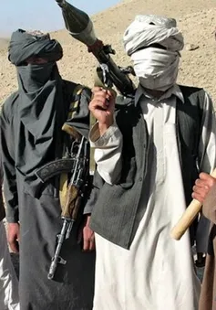 Đại diện cấp cao Taliban bí mật đến Pakistan chuẩn bị hòa đàm