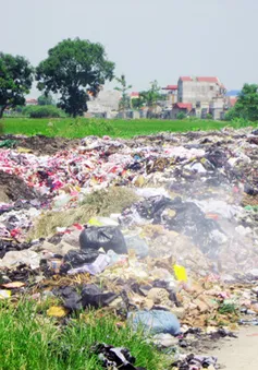 TP.HCM phát hiện công ty xử lý rác thải xả thải ra môi trường