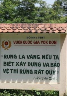 Đề nghị dừng chuyển đổi rừng thành thủy điện Đrăng Phốk