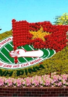 Đường hoa Tết Bính Thân 2016 chủ đề biển đảo tại Bình Định