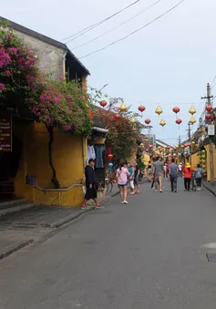 Du lịch dịp nghỉ lễ 2/9: Đa dạng tour, giá cả phải chăng