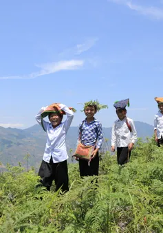 "Đường tới trường" và những câu chuyện chưa kể