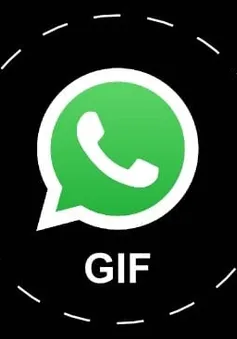 WhatsApp sẽ sớm hỗ trợ đính kèm ảnh GIF khi chat