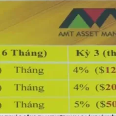 Nhà đầu tư vào Công ty AMT Việt Nam hoang mang vì không rút được tiền