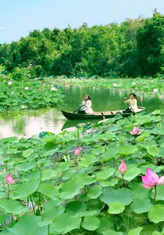 Láng Sen - Khu Ramsar thứ 7 của Việt Nam