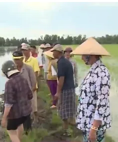 Kiên Giang: Mâu thuẫn con tôm - cây lúa vẫn chưa kết thúc