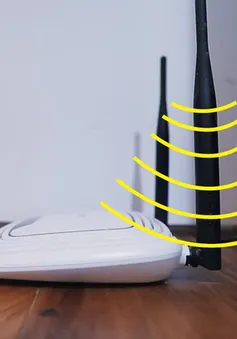 “Nên giảm cước khi mạng chập chờn”