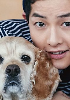 Song Joong Ki giảm cân kịch liệt vì phim mới