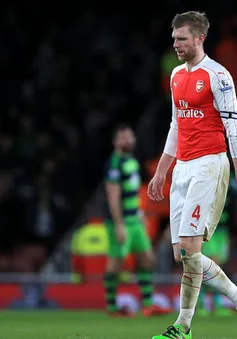 Arsenal ráo riết tìm trung vệ sau khi mất Mertesacker