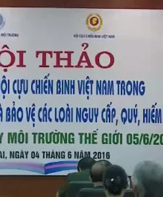 Nhiều hoạt động hưởng ứng ngày môi trường thế giới