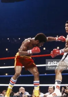 Sự nghiệp quyền Anh của Muhammad Ali