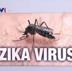 Việt Nam nâng cảnh báo sau vụ du khách Australia nhiễm Zika