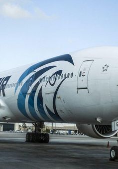 EgyptAir bồi thường tạm thời cho gia đình các nạn nhân MS804