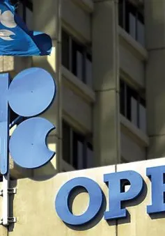 OPEC dự kiến cắt giảm 1,2 triệu thùng dầu/ngày