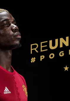 Pogba bị huyền thoại Man Utd "dằn mặt": Hãy xứng với giá tiền!