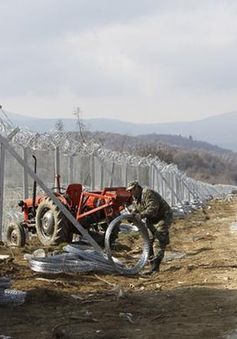 Bộ tứ Visegrad gửi quân đến Đông Âu