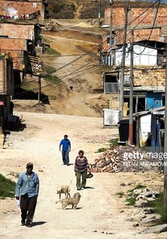 Colombia: Người dân sơ tán chật vật ổn định cuộc sống