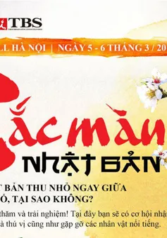 Triển lãm "Sắc màu Nhật Bản" tại Aeon Mall: Ngập tràn màu sắc xứ sở Phù Tang