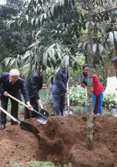 Tổng Bí thư tưởng niệm Chủ tịch Hồ Chí Minh tại Khu di tích K9