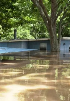 Lũ lụt nghiêm trọng tại Texas, Mỹ