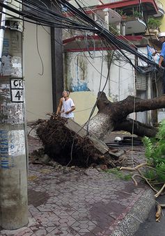 Cấp điện lại cho toàn tỉnh Thái Bình sau bão số 1