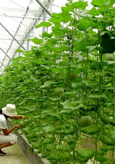 Nút thắt về vốn làm chậm quá trình tái cơ cấu nông nghiệp