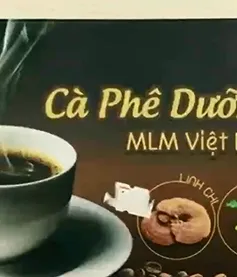 Công ty đa cấp MLM: Mua hộp cafe 60.000 đồng bán... 540.000 đồng