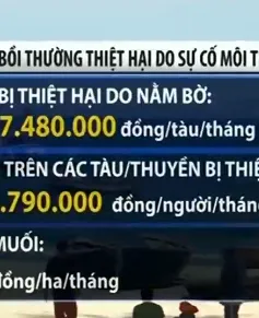 Ban hành định mức bồi thường do sự cố môi trường biển ở miền Trung