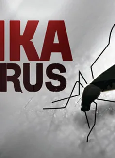 Châu Á đề cao cảnh giác với virus Zika