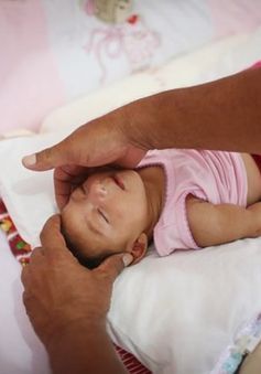 Chính phủ Brazil thừa nhận bất lực trong việc đối phó virus Zika