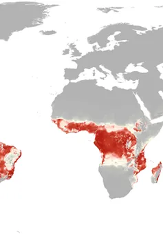 2.2 tỷ người sống trong vùng có nguy cơ lây nhiễm virus Zika