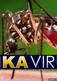 Bộ Y tế: Không nên hoang mang về việc phát hiện bệnh nhân Zika tại Phú Yên