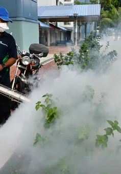 Những sự kiện quốc tế nổi bật tuần qua (29/8 - 4/9): Zika bùng phát tại Singapore