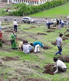 "Choáng" với màn trồng 66 triệu cây xanh trong nửa ngày ở Ấn Độ