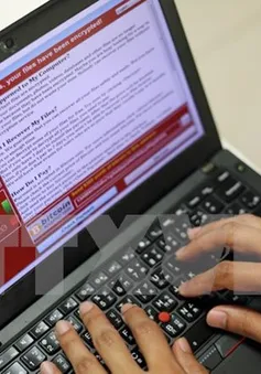 TP.HCM họp triển khai các biện pháp phòng chống mã độc WannaCry