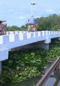 Phú Yên hoàn thành nhiều cây cầu vượt lũ trước năm học mới