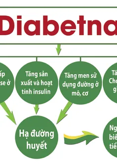 Sự thật về chỉ số GI của thực phẩm: Người đái tháo đường nên biết