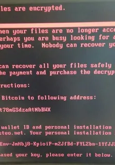 Cảnh báo khẩn về mã độc tống tiền Petya (Petrwrap)