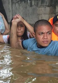 Chủ quan và phớt lờ cảnh báo bão - Nguyên nhân bão Tembin gây thiệt hại nặng nề về người