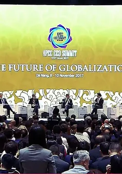 APEC 2017: Việt Nam phải thích ứng với sự vận động của toàn cầu hóa