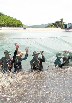 Bảo hiểm nông nghiệp: Mở rộng đối tượng được bảo hiểm, thúc đẩy người tham gia