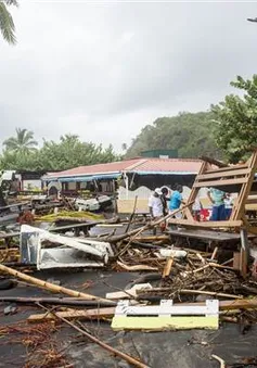 Bão Maria gây thiệt hại nặng nề cho vùng Caribbean