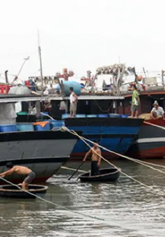 Bình Thuận, TP.HCM cấm tàu thuyền ra khơi